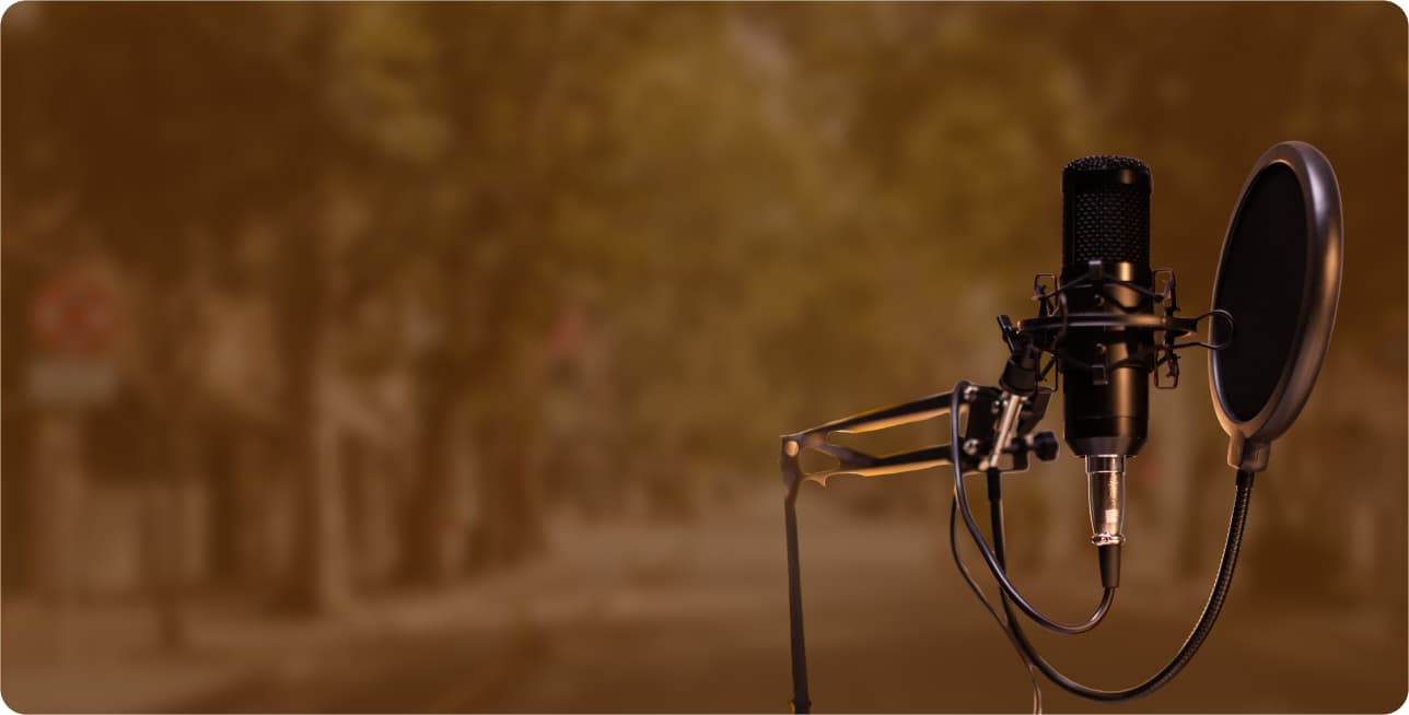 Studio Microphone